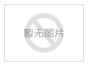 4DSB電動試壓泵主要型號參數(shù)